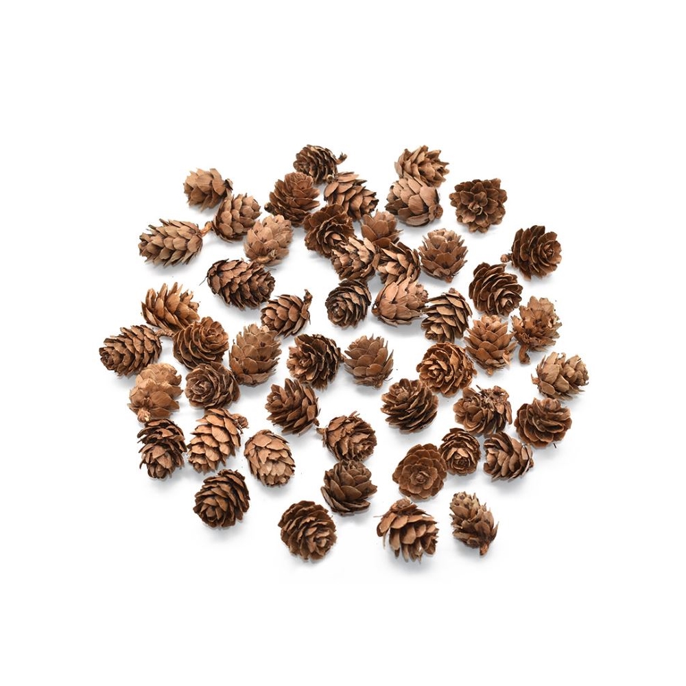 581ba715822bfe219e042a7c9d7eab40_1775607057_3992.jpg 581ba715822bfe219e042a7c9d7eab40_1775607057_3992.jpg